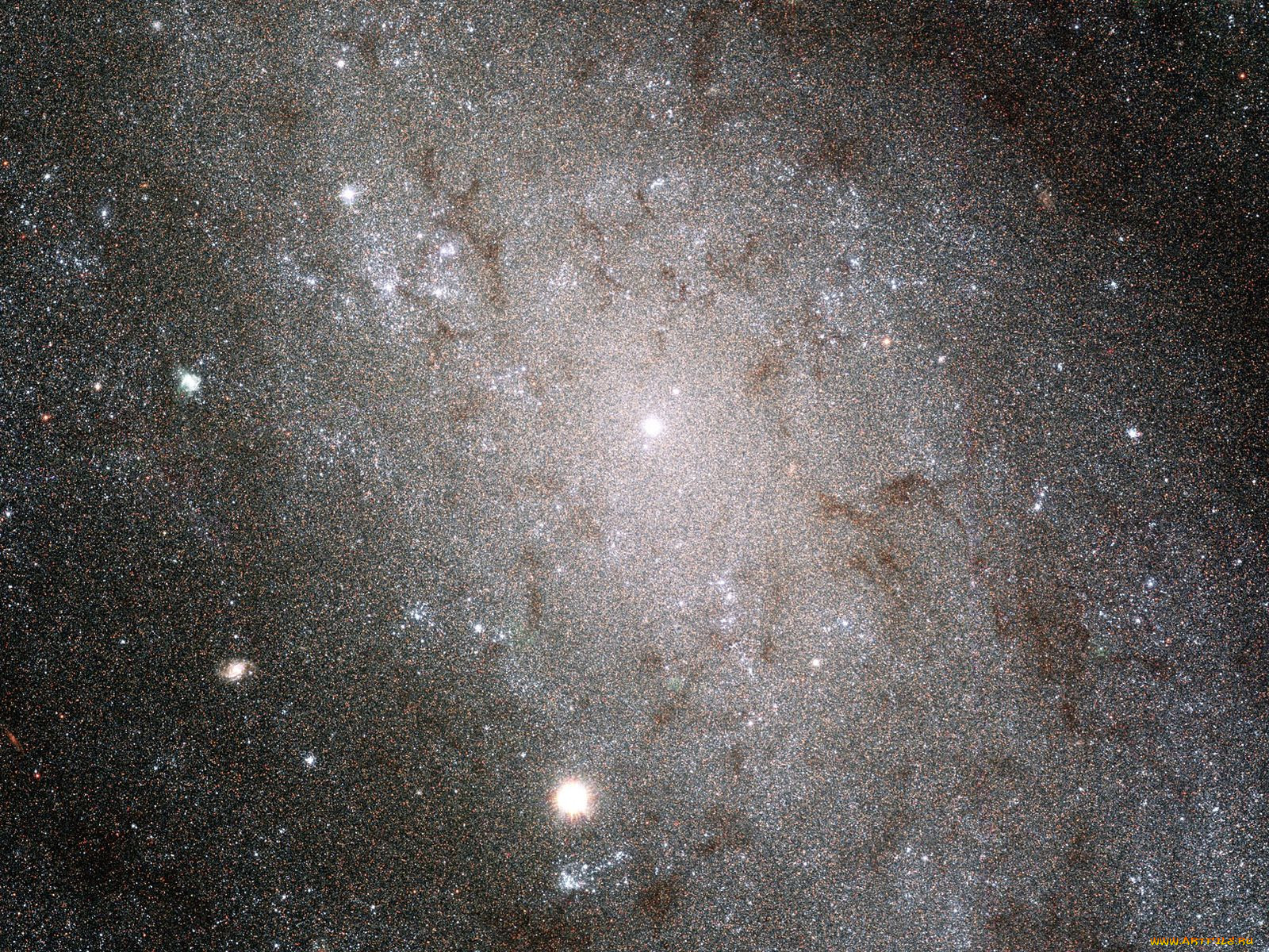 ngc, 300, , , 